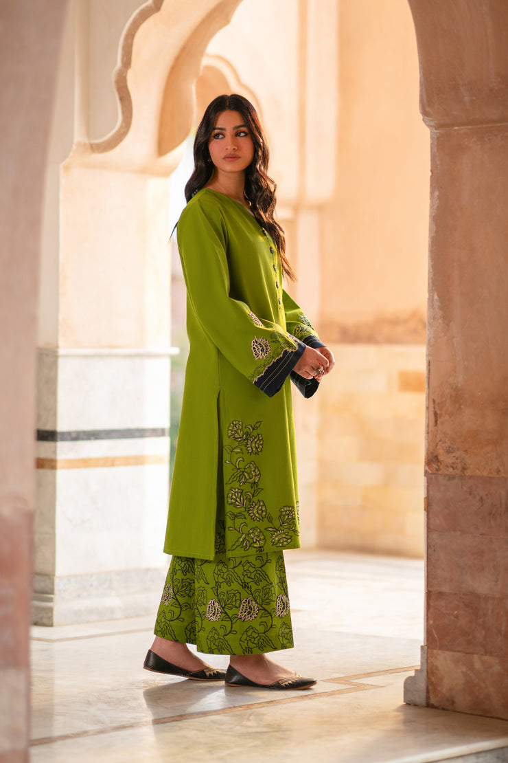 2 Piece - Dyed Embroidered Khaddar Suit - LC-10